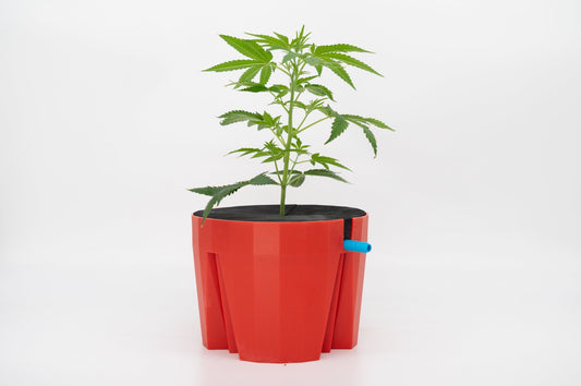 Hydro Farmer | Topf und Bewässerung | rot | Single | Hydrokultur